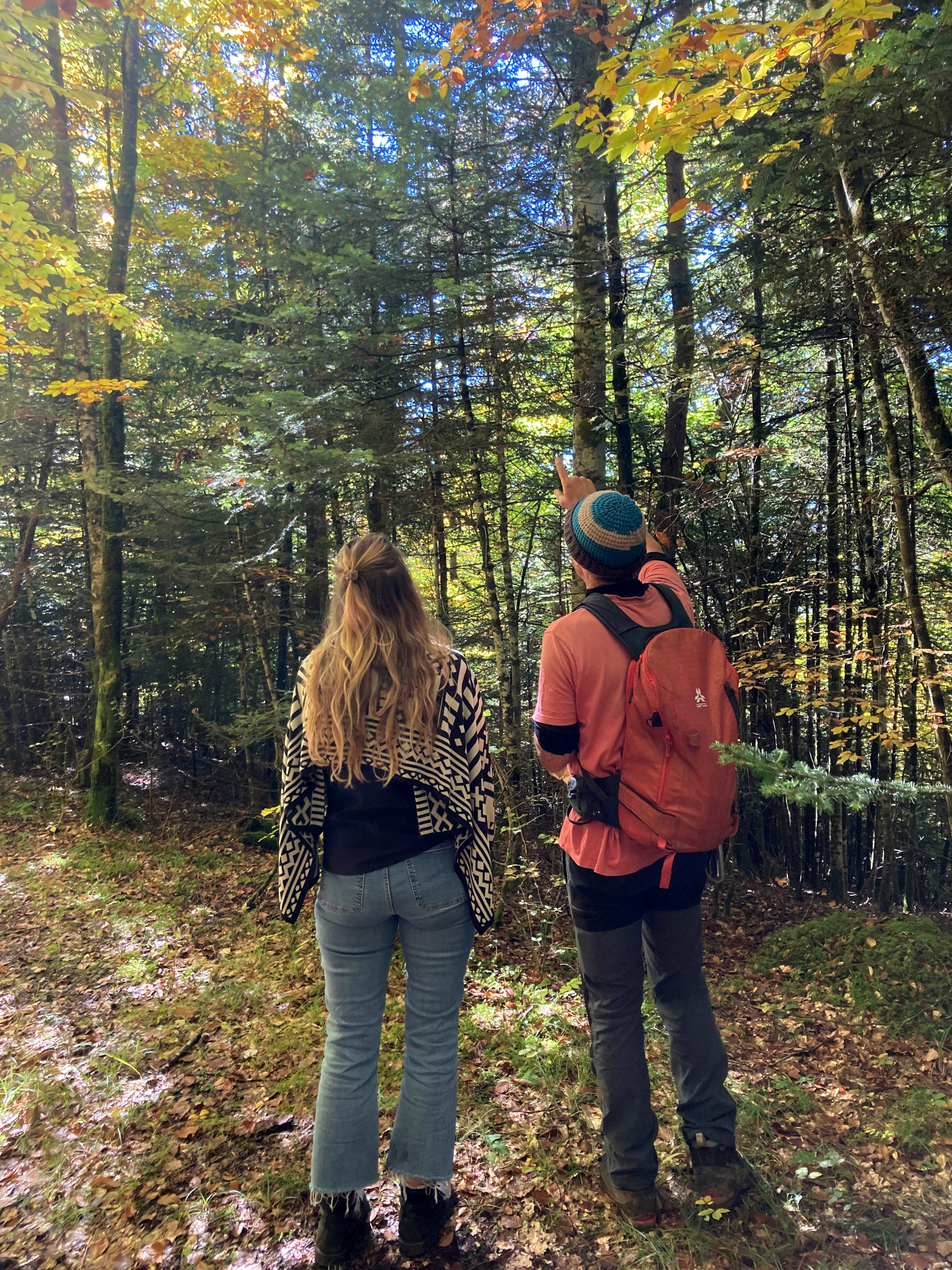 Visite de forêt