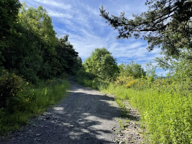 Chemin de la Pierre Percée