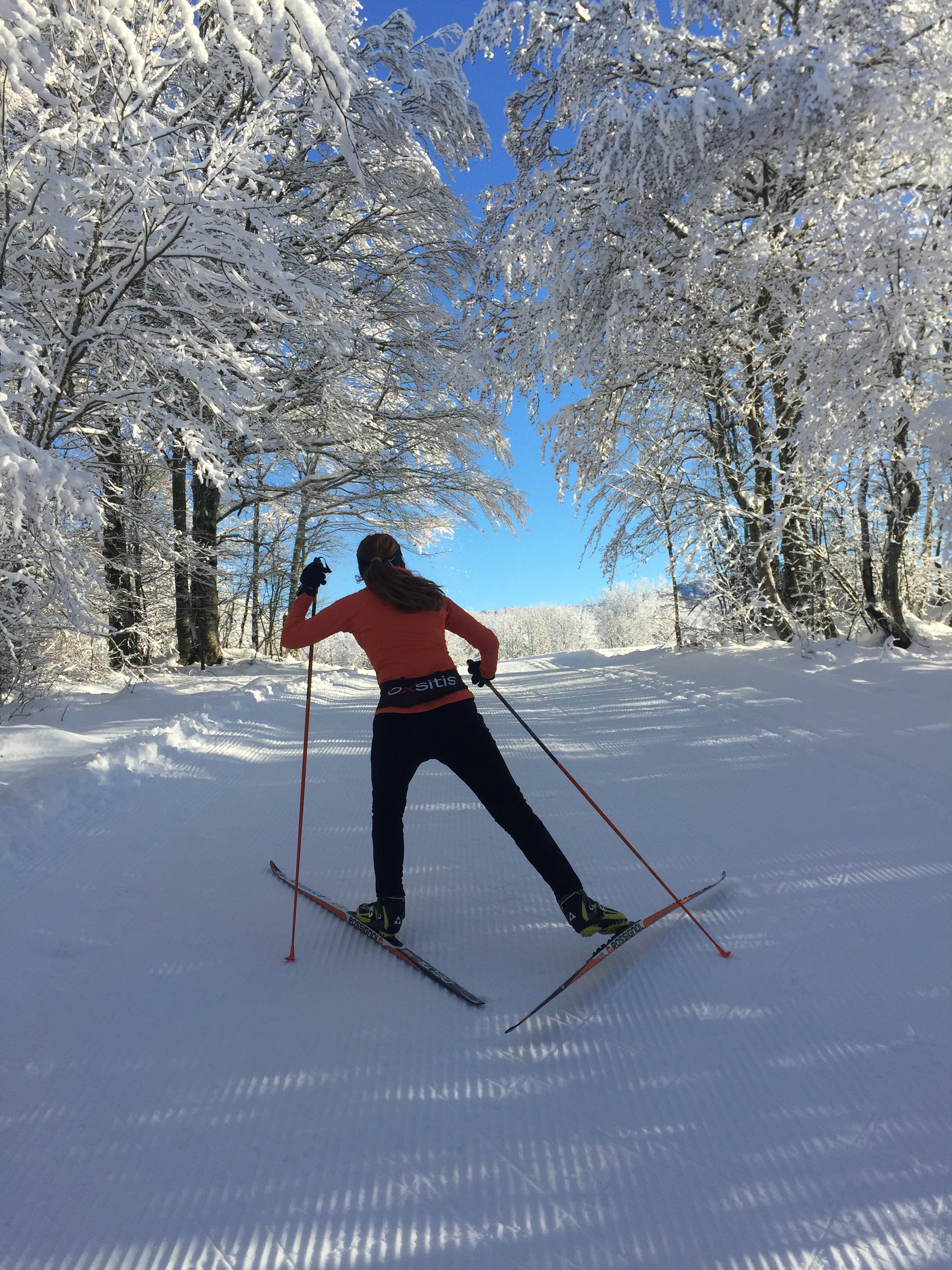 Piste verte de ski de fond du Plateau de Retord : La Vezeronce