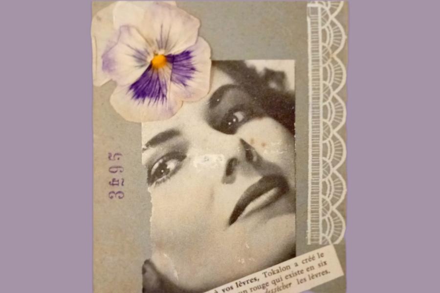 Photo principale Zéphyr et Céleste finale