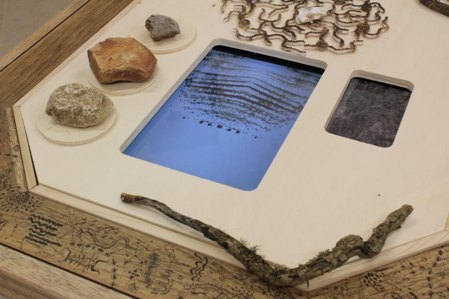 Exposition : ALEXIA ANTUOFERMO 