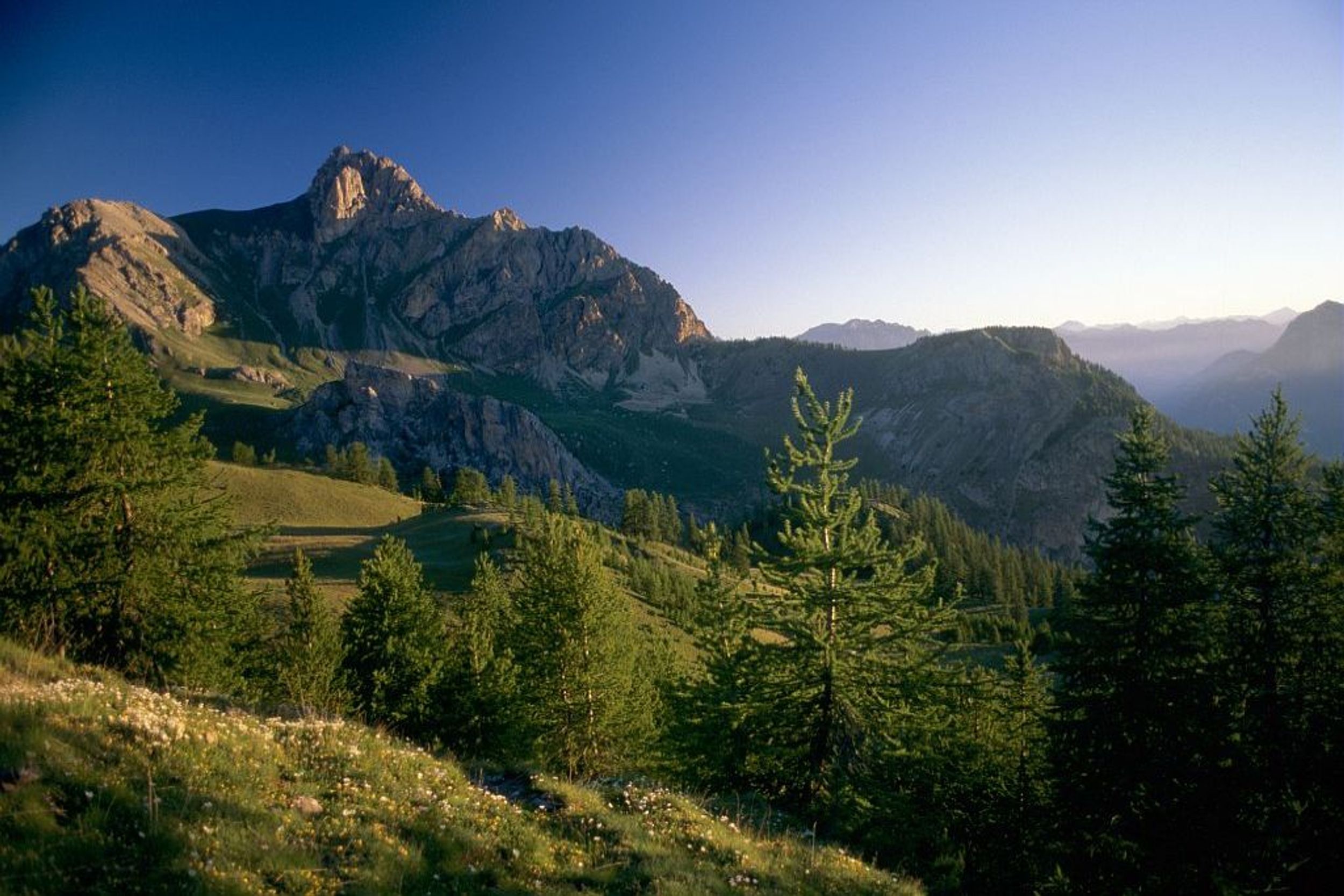 Maxi Goureng (trail route no. 14)