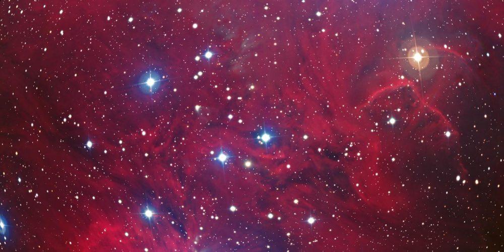 Projection - Dinosaures, une histoire de survie_Saint-Étienne