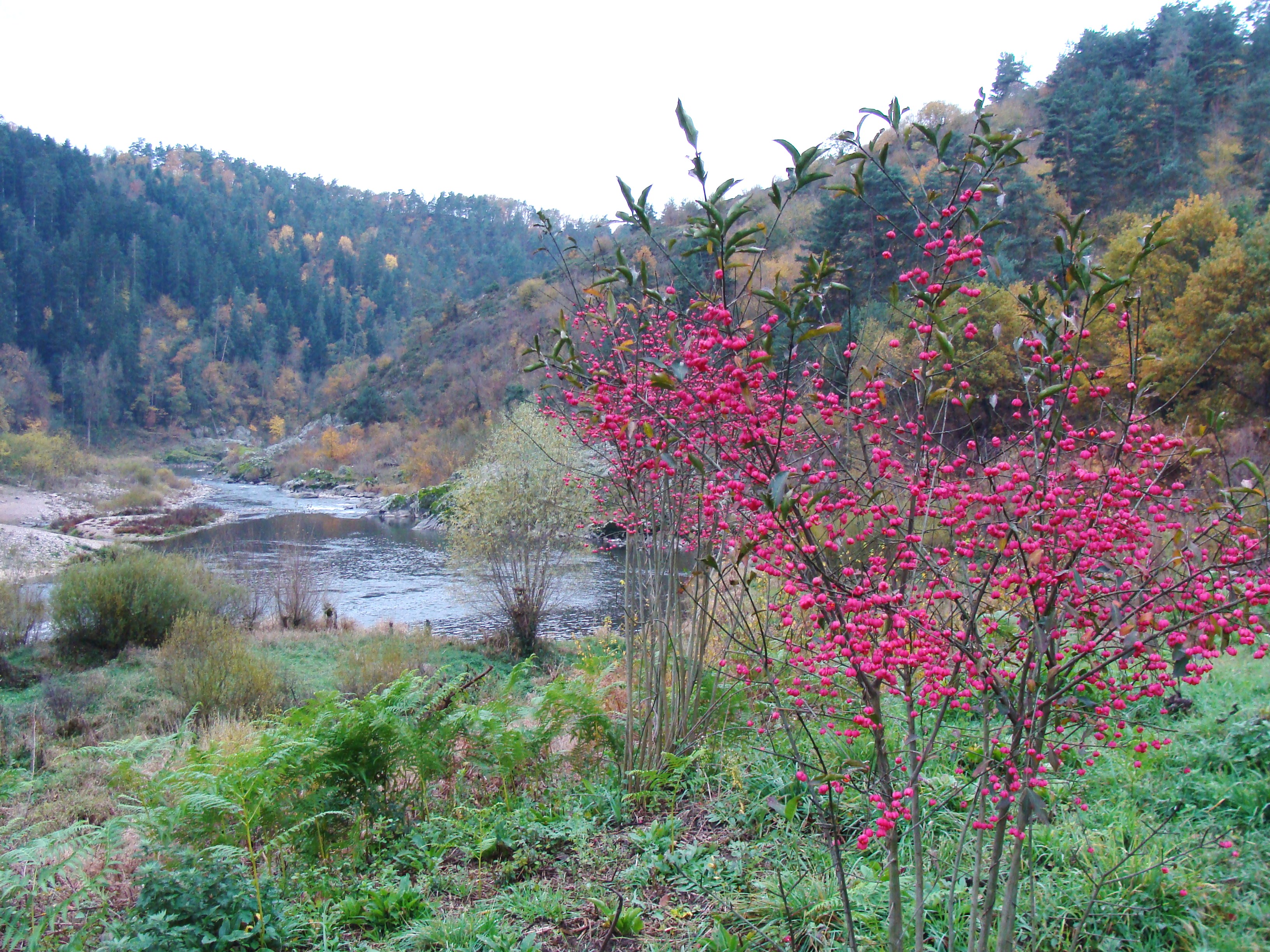 Balade nature : La vie en bord de Loire