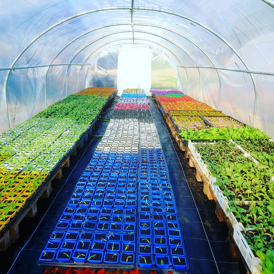 171247830_276486304016345_1509397589738544064_n