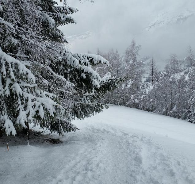 Itinéraire raquette 