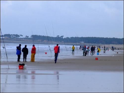 LCPA Surfcasting
