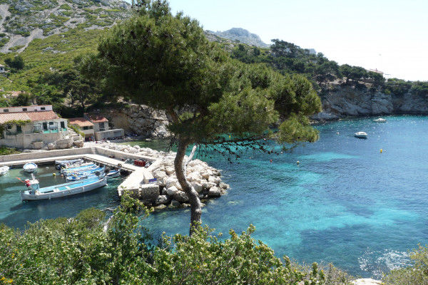 SEMI-RIGIDE - Sortie après-midi