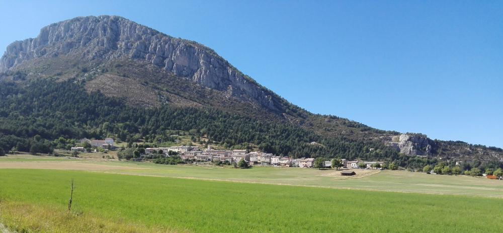 CAILLE