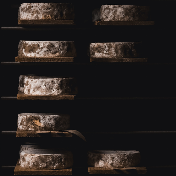 Visite des caves d'affinage Paccard_Manigod