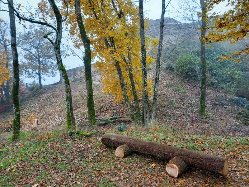 Château de Saint-Germain