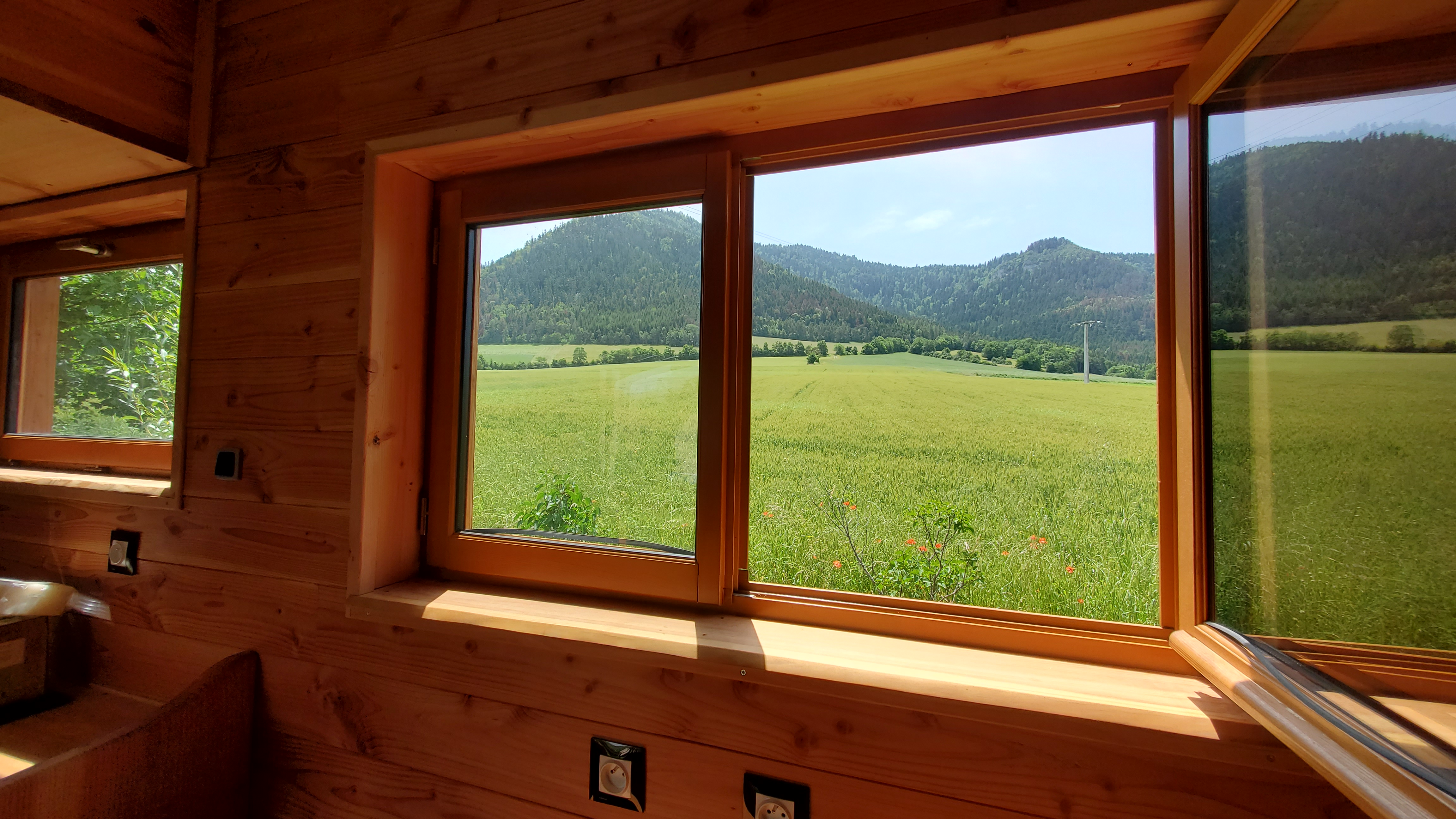 Vue sur les champs et la forêt Les Ombelles Avers-Lalley Trièves