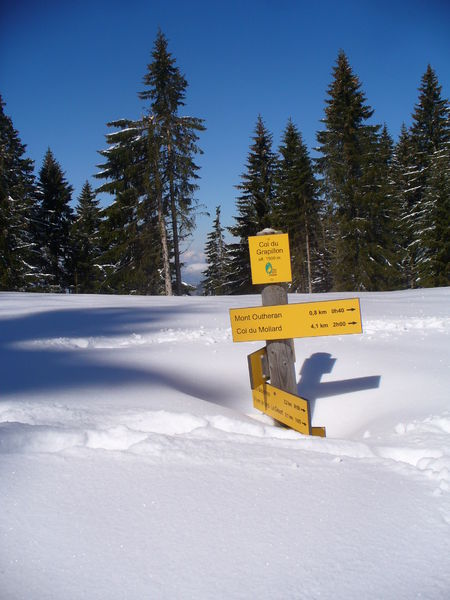 La Pointe de la Cochette - Le Désert d'Entremont