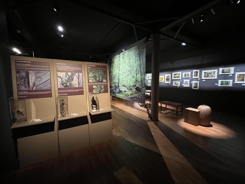 Muséum Henri-Lecoq | Journées Européennes du Patrimoine 2025