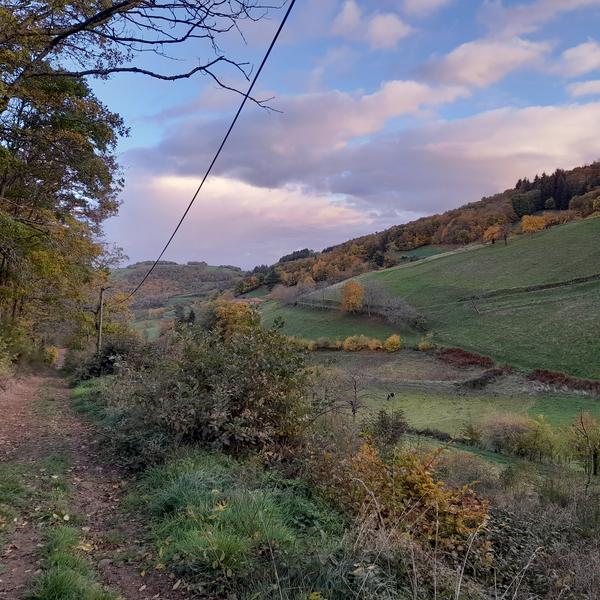 Panorama Panorama