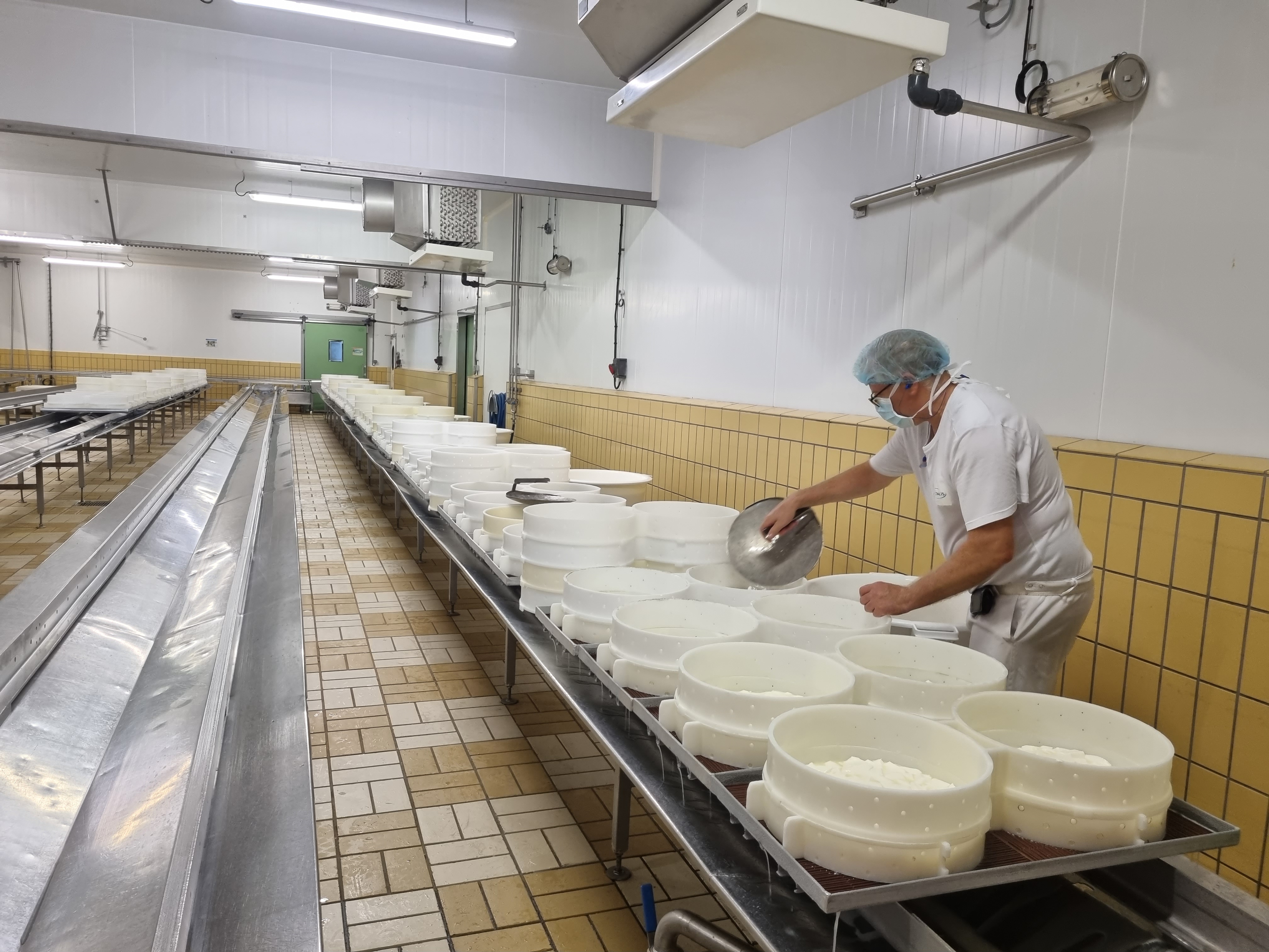 Moulage du Brie de Meaux à la Fromagerie Saint-Faron Meaux