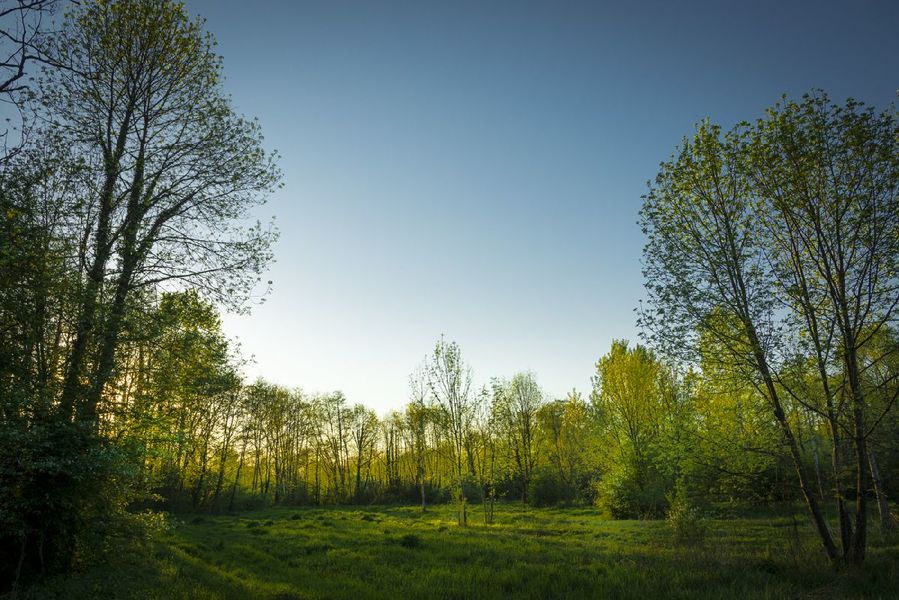 ENS de la Save secteur de la Laurentière