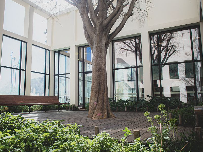 Animations à la médiathèque Salim Hatubou en  janvier et février