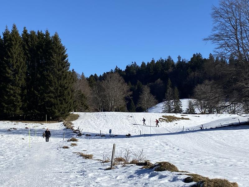 Itinéraire raquettes à neige : la petite traversée_Le Revard