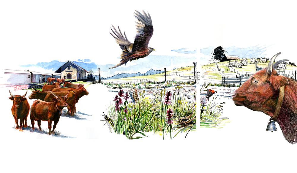 Journées Européennes du Patrimoine - Visite de l'Espace Cézallier