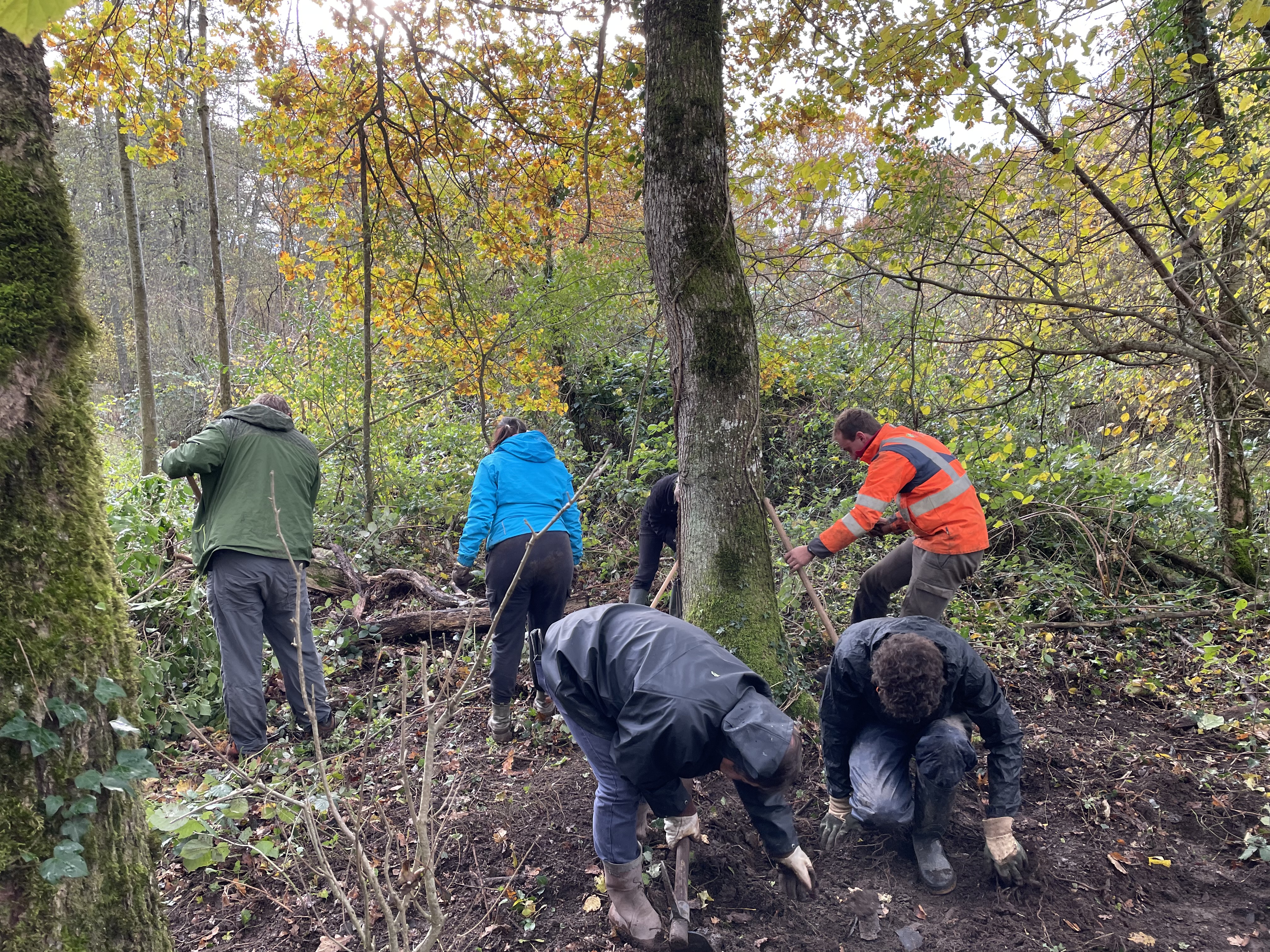 Chantier participatif au marais de Prodon_Divonne-les-Bains