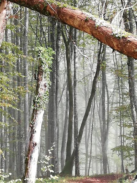 La Tour d'Oncin : lieu de séminaire humaniste_Montagnieu