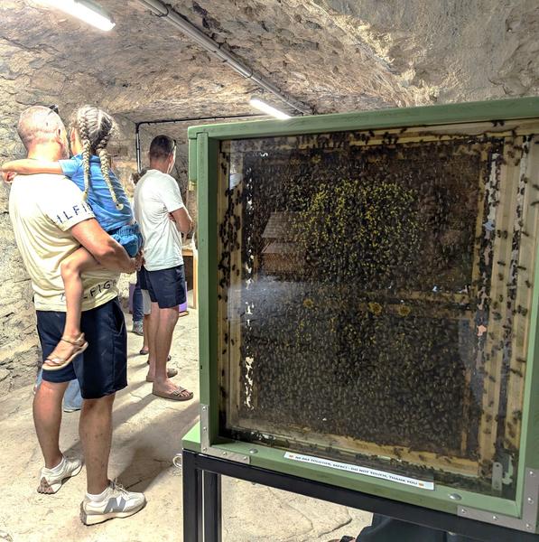 Visite de la Miellerie à la Ferme des Abeilles_Lagorce