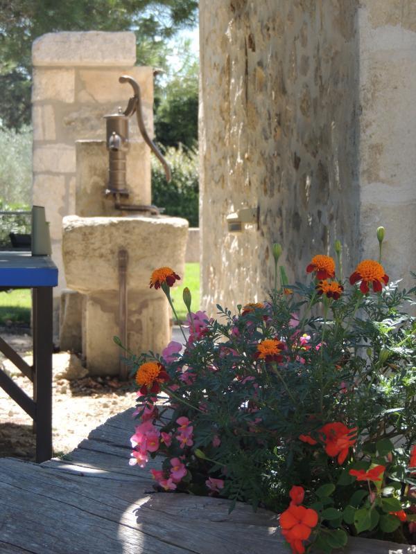Soleiado, Eyragues - photo 18