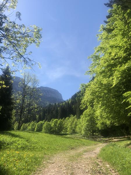 5 - Le tour du Roc d'Arguille en trail