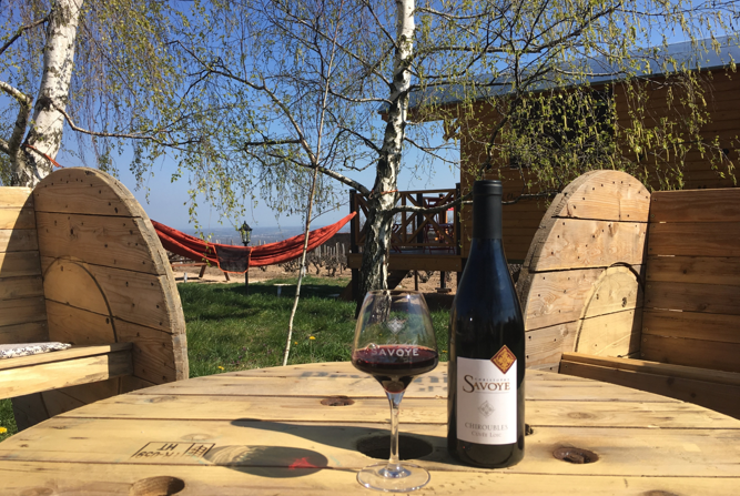 Escapade en roulotte au Domaine Christophe Savoye à Chiroubles