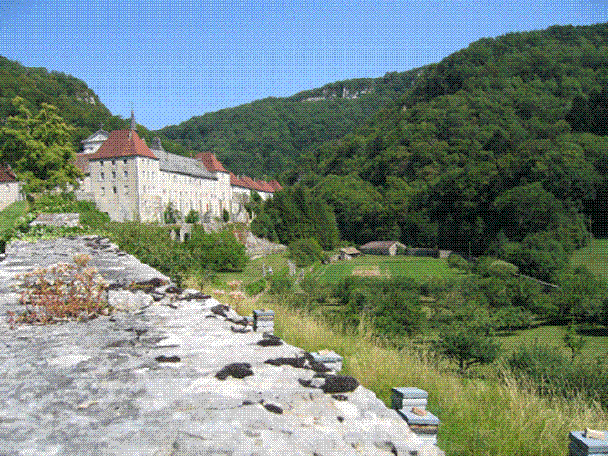 Chartreuse de Sélignac - Simandre sur Suran