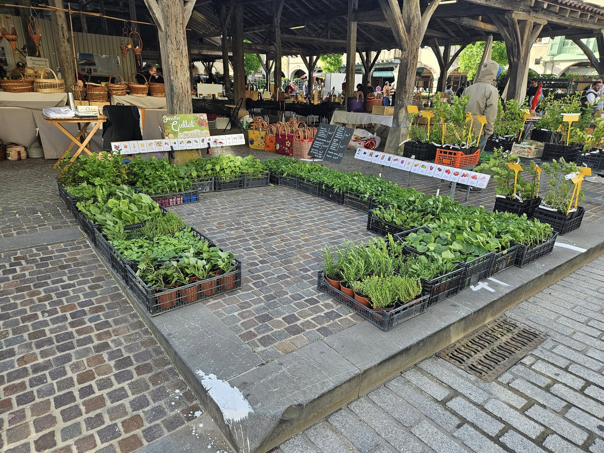 494176953_1223374146244132_1273039992405866568_n