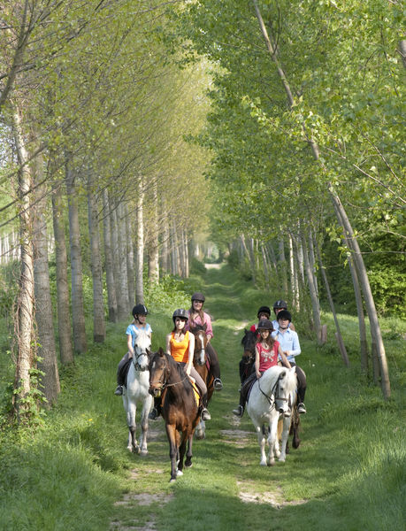 Randonnées à cheval en CAPI