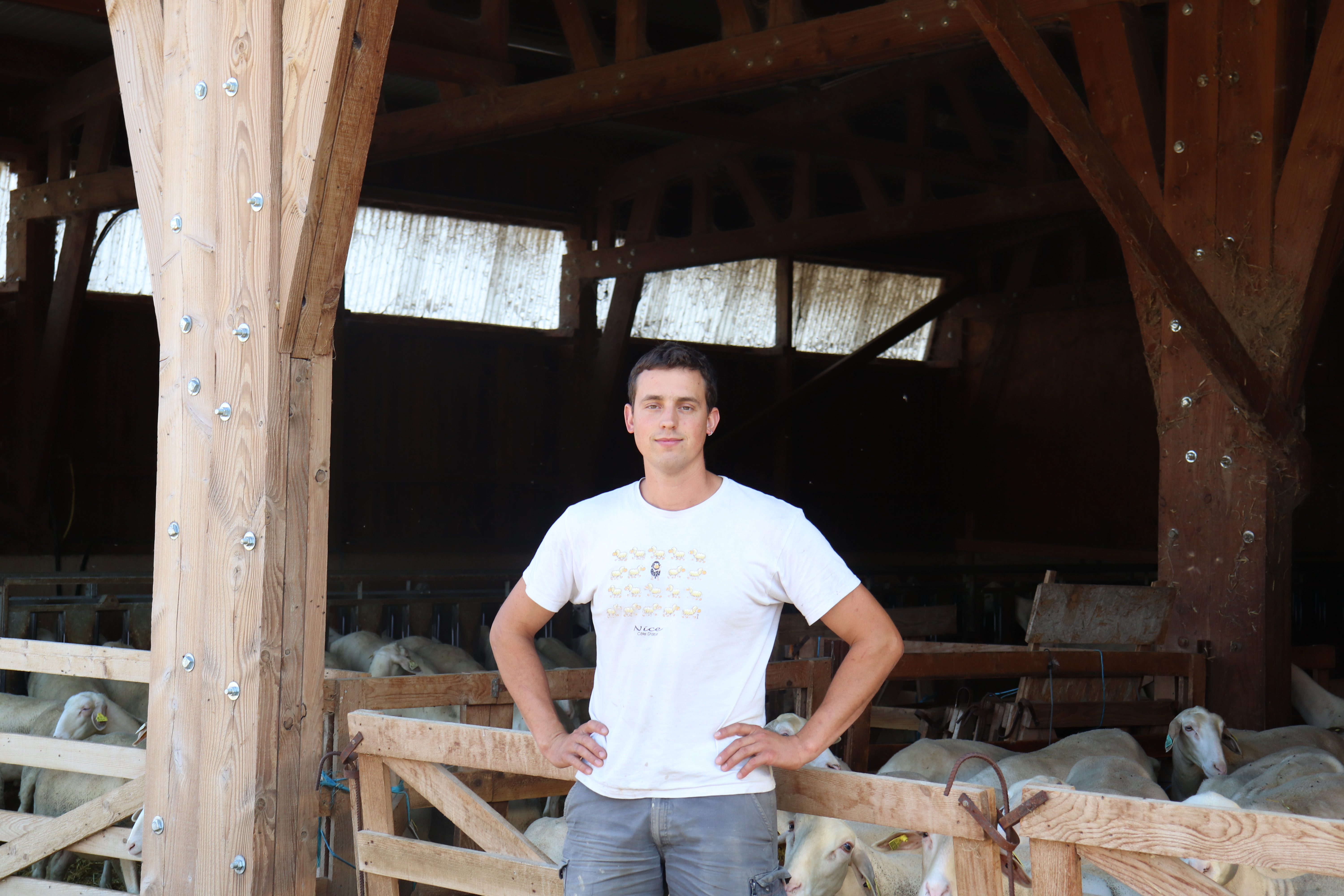 Visite libre de la ferme "Dessine-moi une brebis"