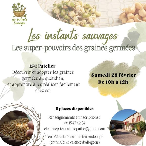 Les supers-pouvoirs des graines germées