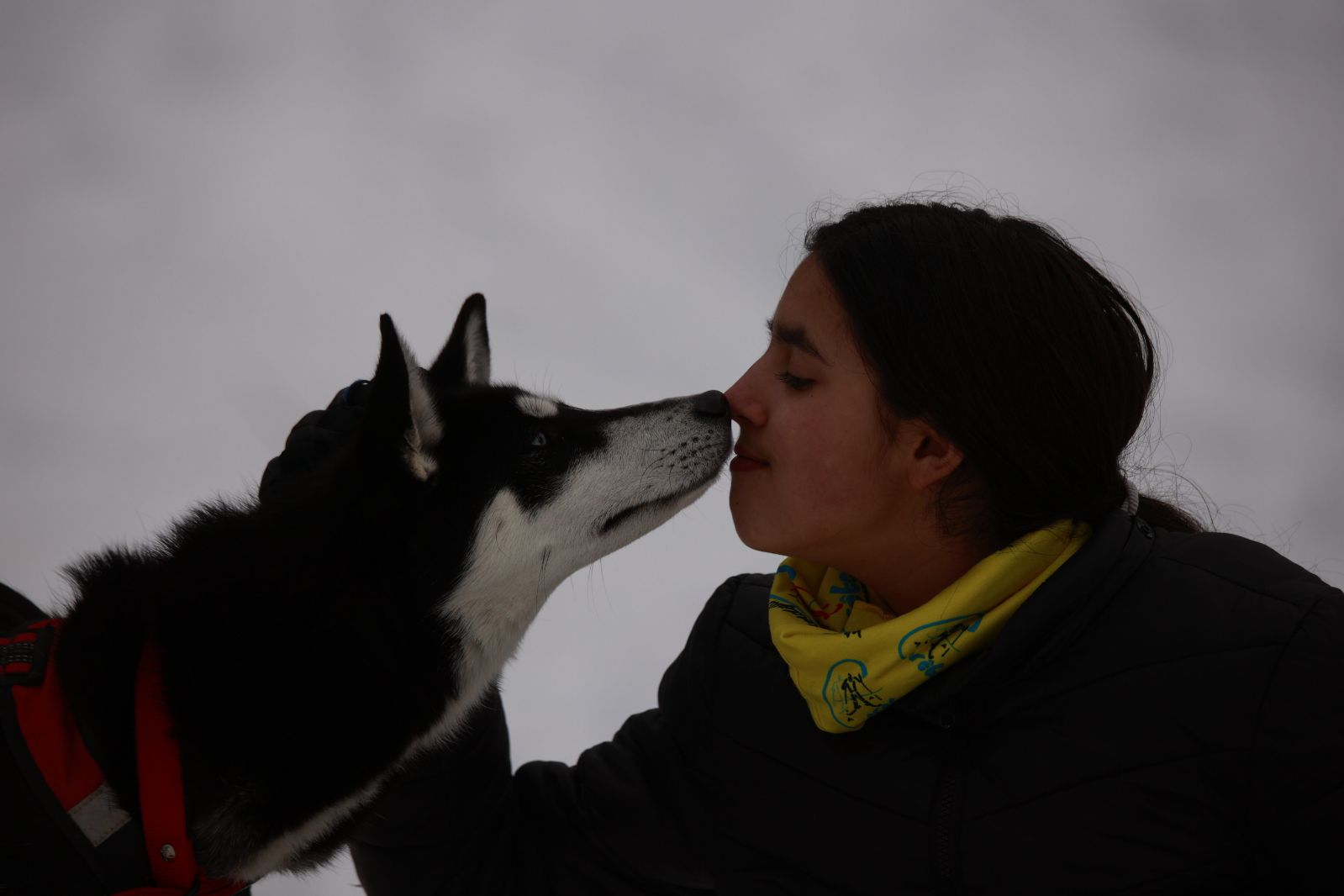 Baptme en traneau  chiens avec Symbiose