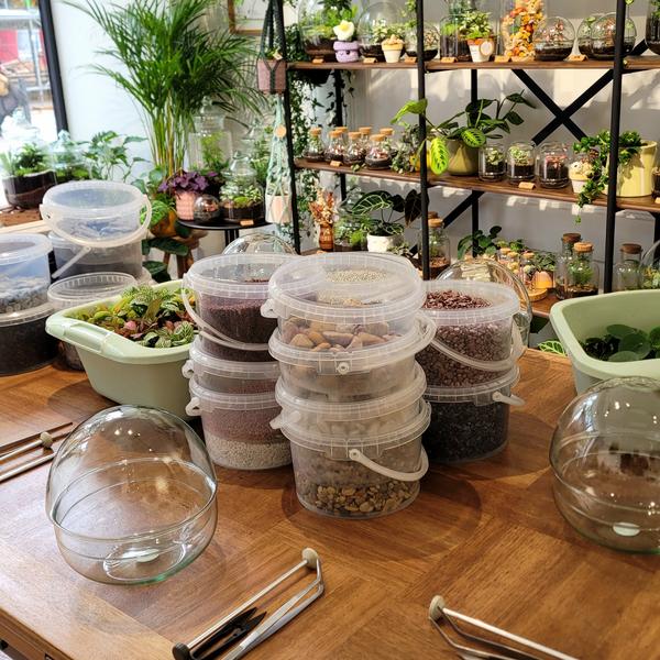 Atelier spécial Fête des mères - Terrarium XXL