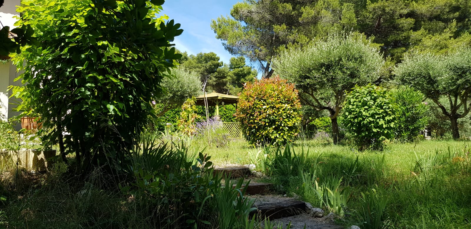 Les Hauts Pinchinats, Le Tholonet - photo 18