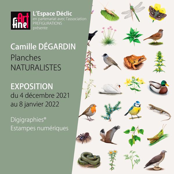 04-12-21 Exposition Camille Dégardin Planches Naturaliste ETAMPES