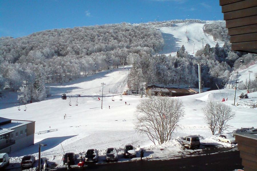 Résidence la Forêt - n°42