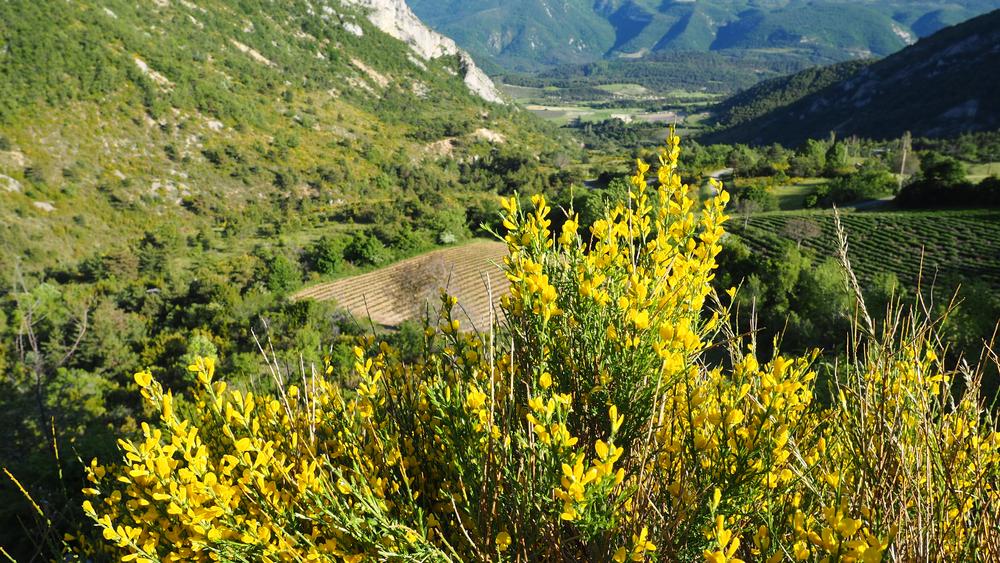Izon Nature, hébergements et table d'hôtes insolites dans la Drôme provençale