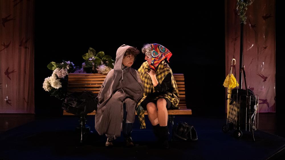 Suzanne aux oiseaux - Scopitone & Cie | Festival Juste pour deux mains