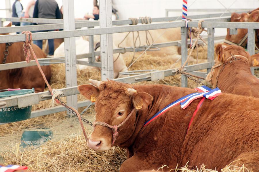 Comice Agricole_Chazelles-sur-Lyon