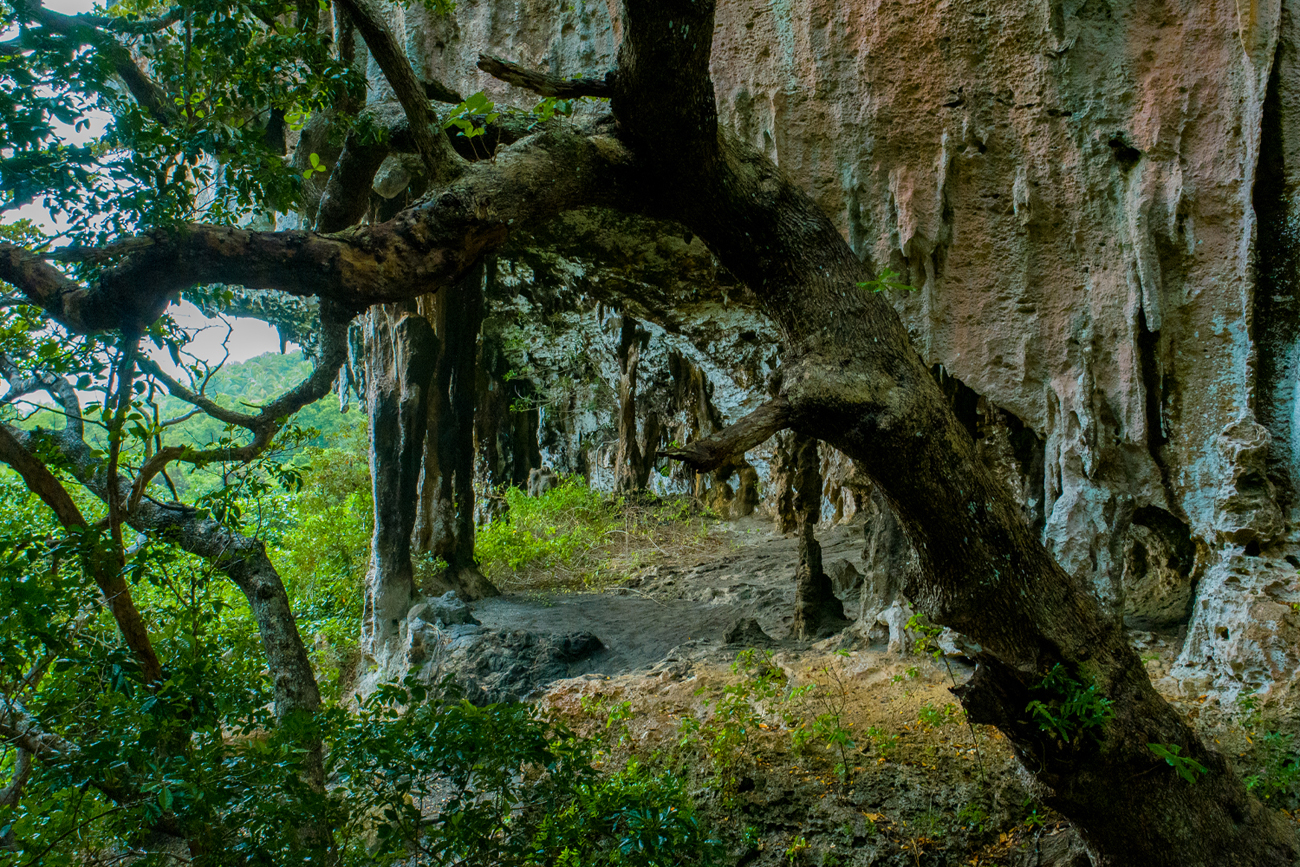 la grotte