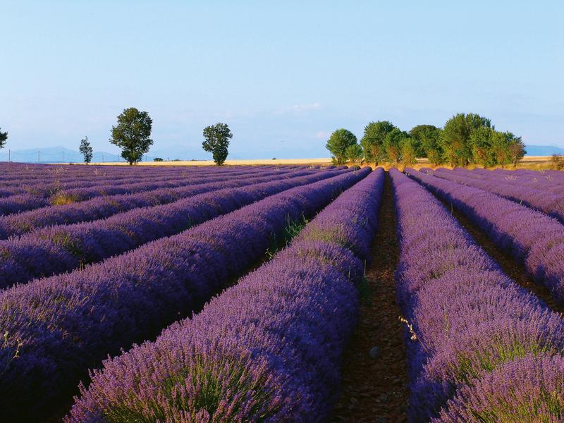 Itinéraire pédestre 