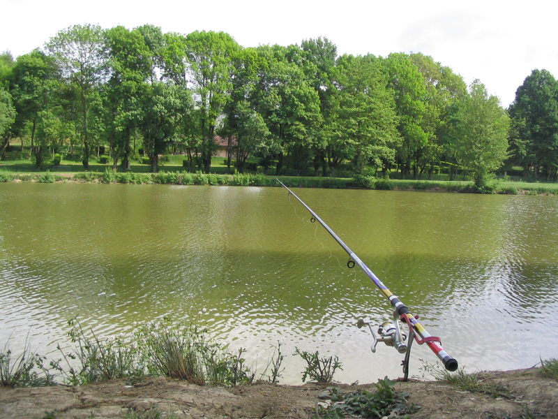 Etang de Mépillat