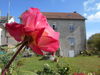 Maison vue du jardin Ⓒ E. Cavallero