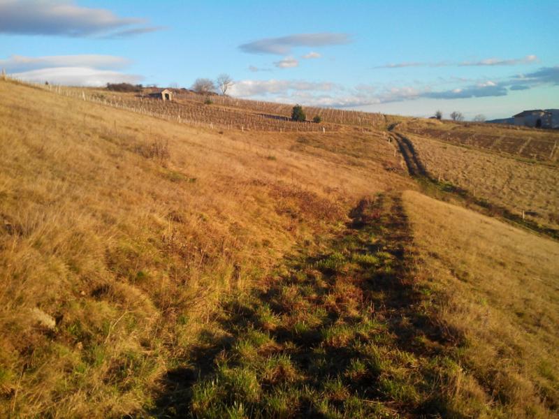 Circuit Les Grandes Terres_Beaujeu