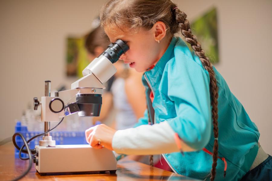 Hiking lab workshop for children