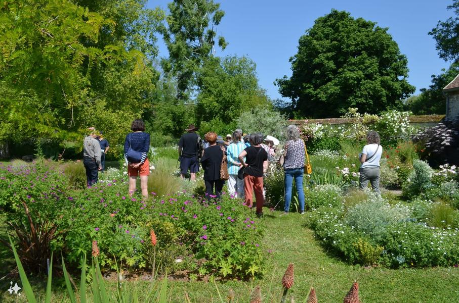 Visite du jardin de Bressault à Etampes